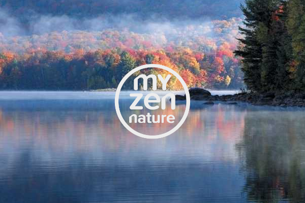 MyZen Nature
